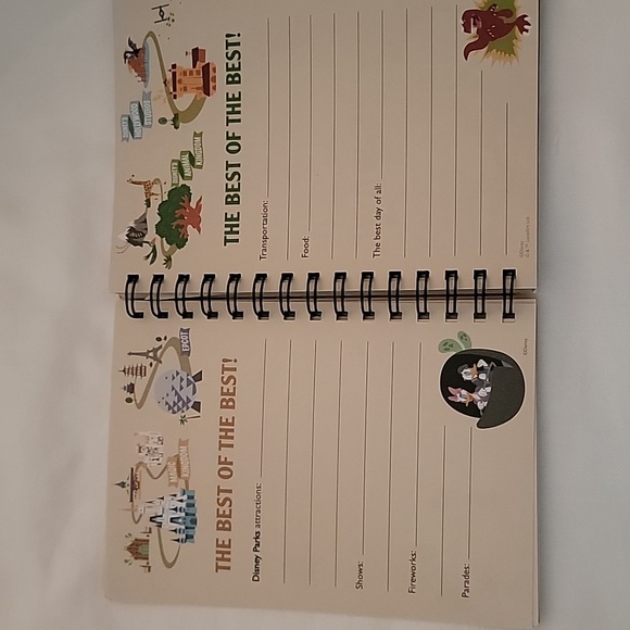 My Walt Disney World Travel Journey - Picture 10 of 10